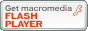 FlashPlayer̃_E[h