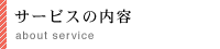 T[rX̓e