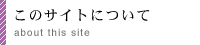 ̃TCgɂ