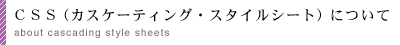 CSSiJXP[eBOEX^CV[gjɂ